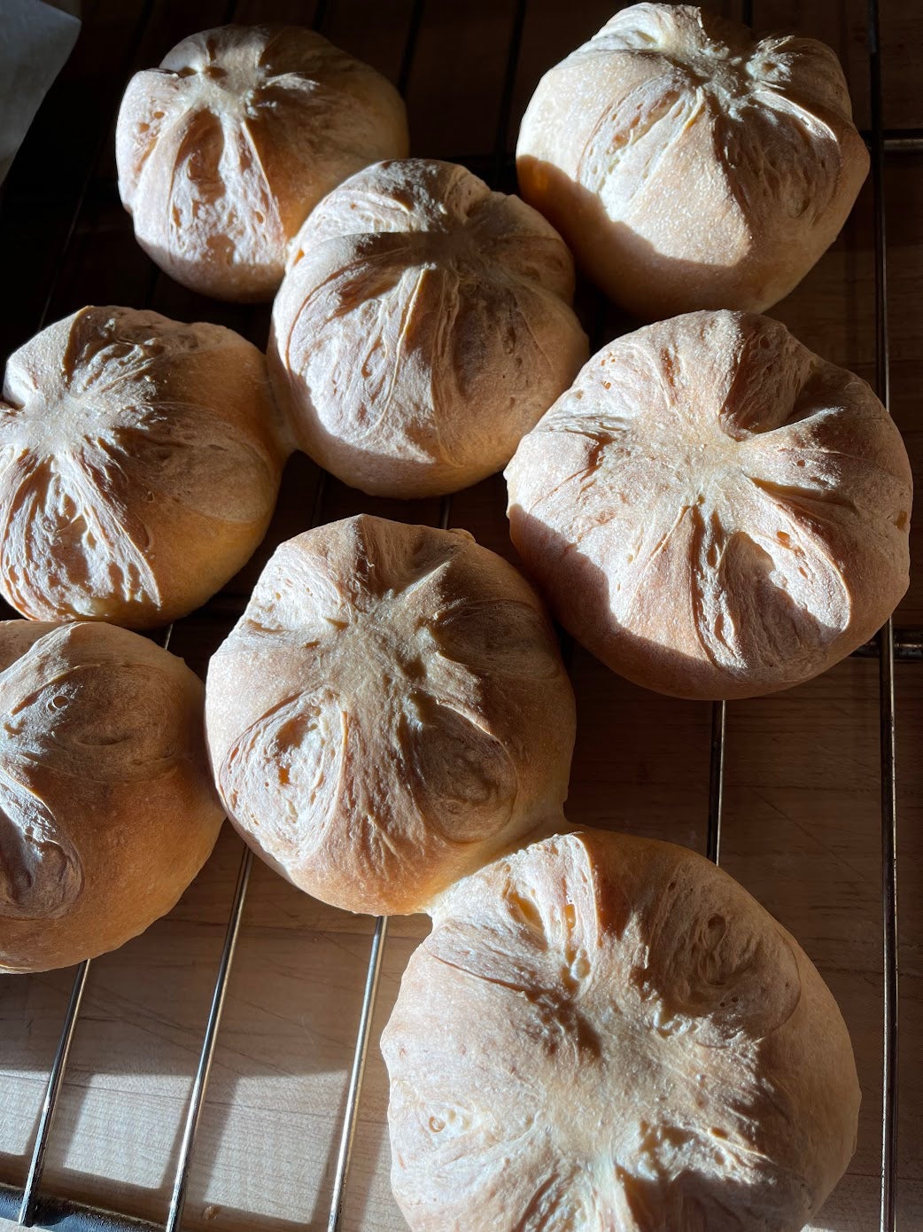 white bread buns on a wire rack drenched in sunlight 